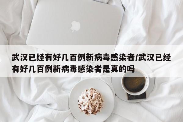 武汉已经有好几百例新病毒感染者/武汉已经有好几百例新病毒感染者是真的吗-第1张图片-今日粤港澳